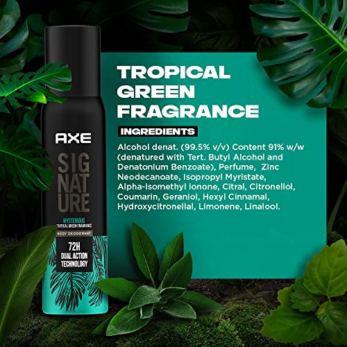 AXE Signature Mysterious Deodorant Long