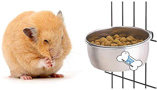 Water Food Bowl Bird Cage
