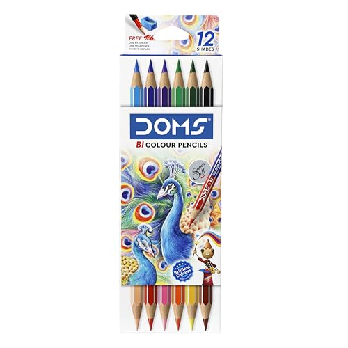 DOMS Junior Art Kit