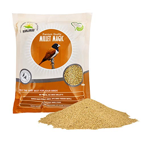 Millet Magic, 900 g