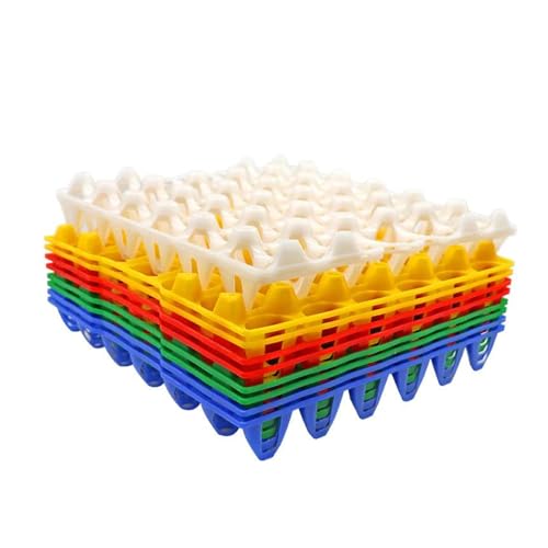 Egg Trays Plastic for Storage
