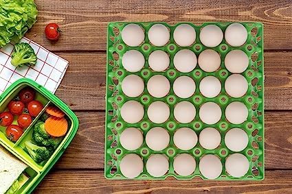 Egg Trays Plastic for Storage