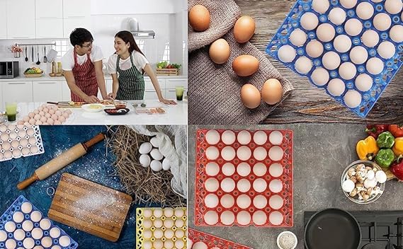 Egg Trays Plastic for Storage