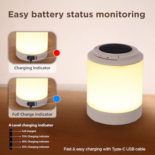 Philips Phoebus 5W Solar Emergency