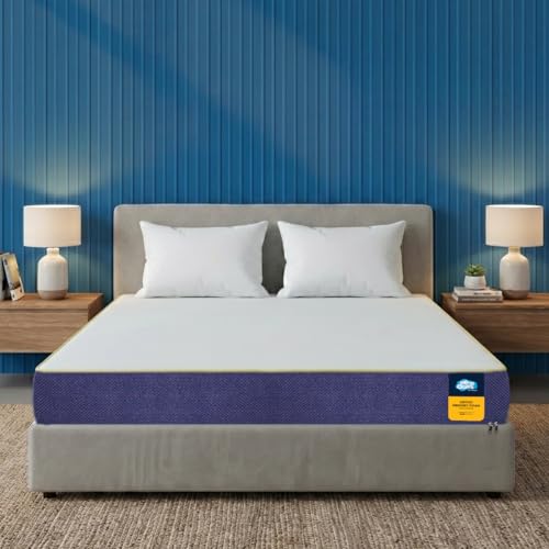 Centuary Mattresses Sleepables 6-Inch King