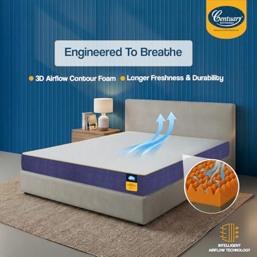 Centuary Mattresses Sleepables 6-Inch King