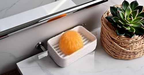Plastic Soap Dish Holder