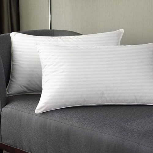 White Pillow Set of 2