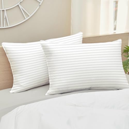 White Pillow Set of 2