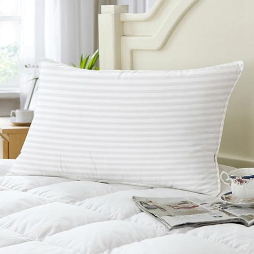 White Pillow Set of 2