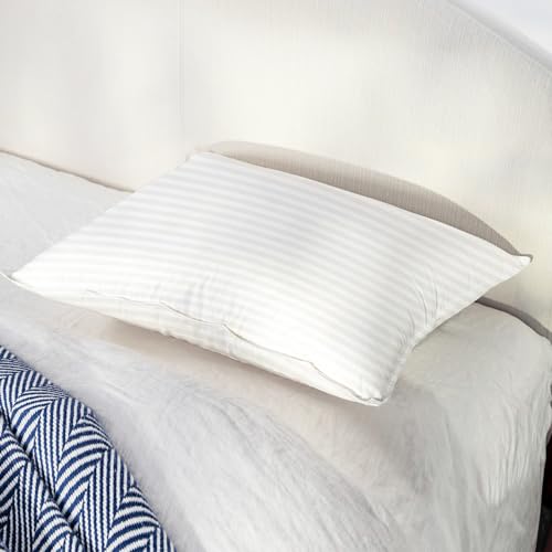 White Pillow Set of 2