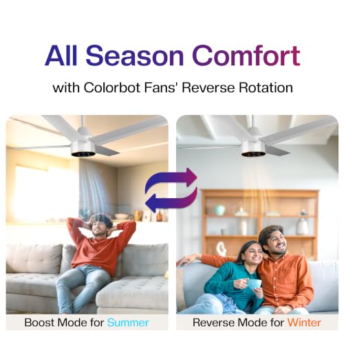 Colorbot Knoxx Quad BLDC Ceiling