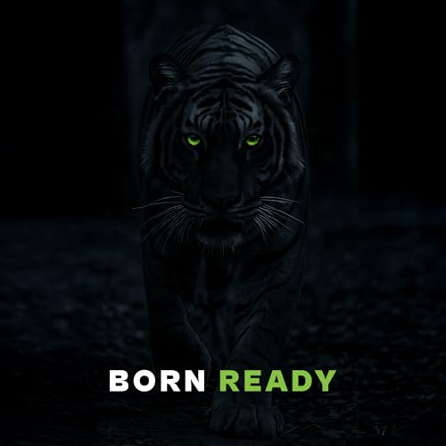 PROWL by Tiger Shroff 10%