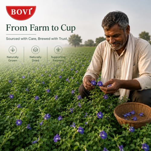BOVI Butterfly Pea Flower Tea