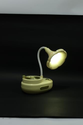 Lexton 11 Inch Phonograph LED