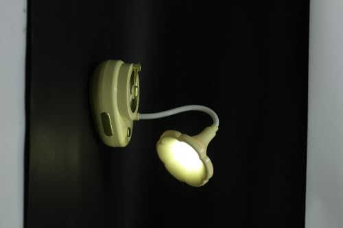Lexton 11 Inch Phonograph LED
