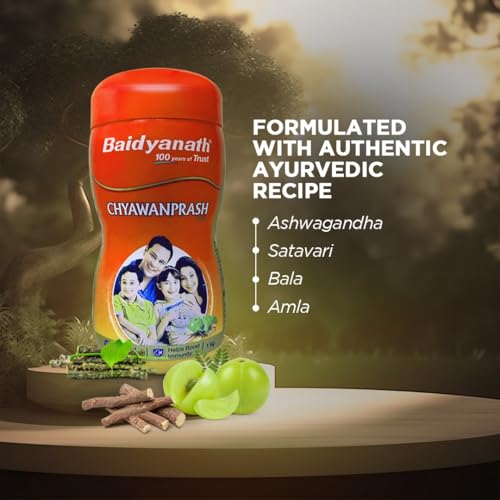Baidyanath Ayurved Chyawanprash 1 KG