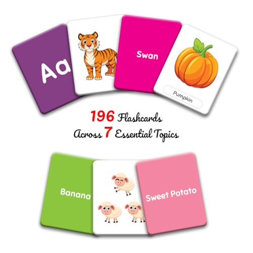 GDC Flashcards 7-in-1 Educational Flashcards