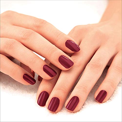 LAKMÉ 9 To 5 Primer