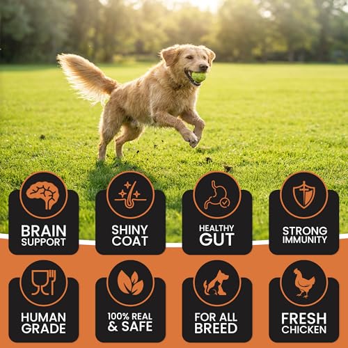 Dr. Pets Pack of 10
