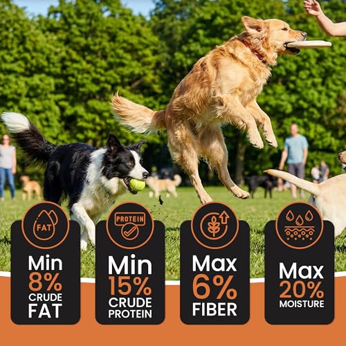 Dr. Pets Pack of 10
