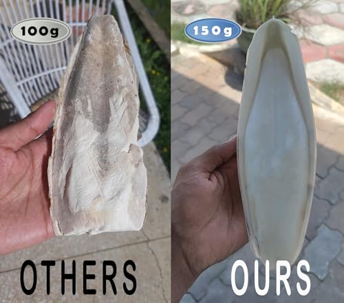ZION Cuttlefish Bone for Birds,150g