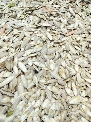 ZION Cuttlefish Bone for Birds,150g