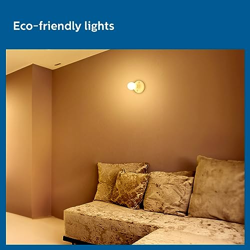 Philips 18w LED Bulb |AceBright