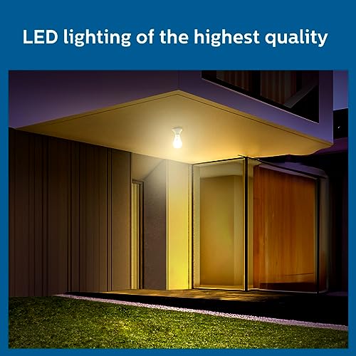 Philips 18w LED Bulb |AceBright