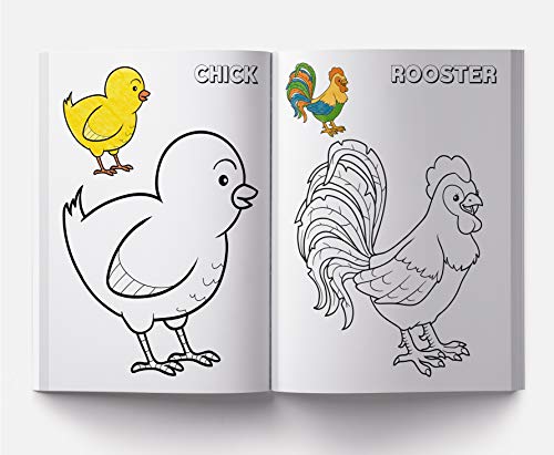 My Big Book of Creative