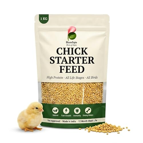 Chick Starter Feed 1kg | High Protein Hen Food | Murgi Dana | Poultry Bird Food | All Life Stages | Desi Chicken Feed | Natural Dry Bird Food