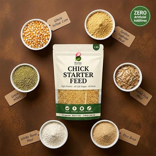 Chick Starter Feed 1kg