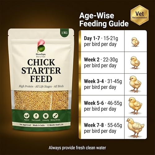 Chick Starter Feed 1kg