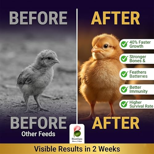 Chick Starter Feed 1kg