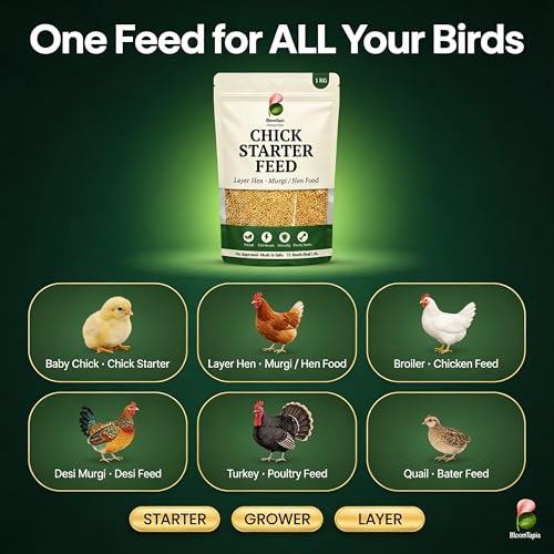 Chick Starter Feed 1kg