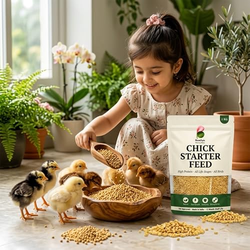 Chick Starter Feed 1kg