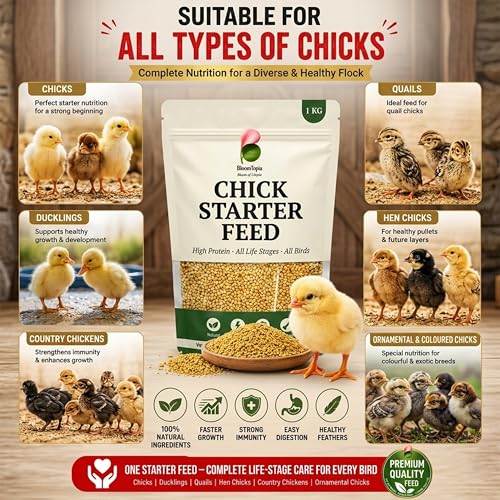 Chick Starter Feed 1kg