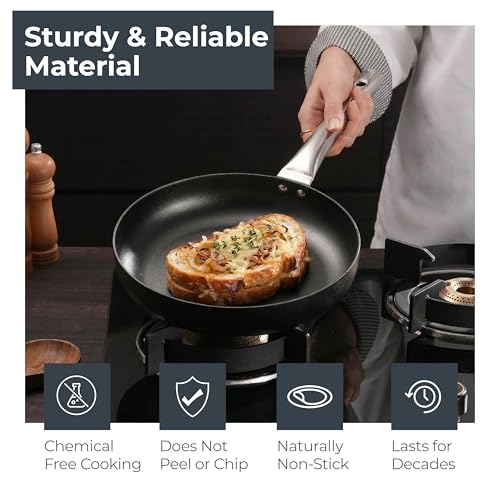 Lifelong Carbon Steel Fry Pan