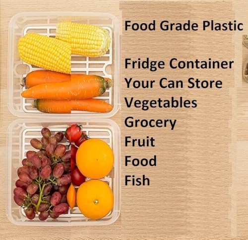 HomeWiz Fridge Storage Containers 2000ml