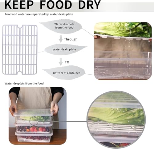 HomeWiz Fridge Storage Containers 2000ml