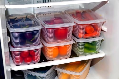 HomeWiz Fridge Storage Containers 1400ml