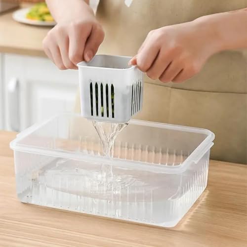 HomeWiz Fridge Storage Containers Large