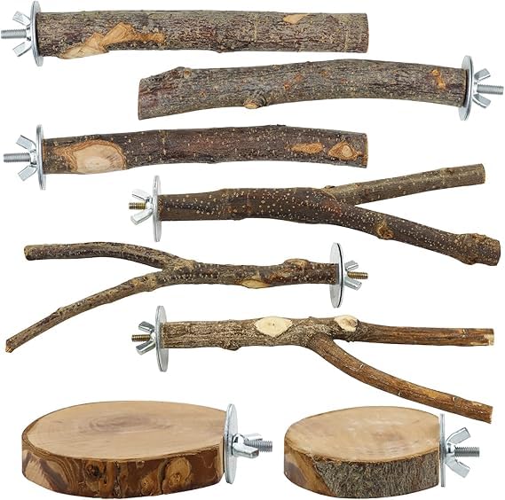 8 Pieces Natural Wood Bird