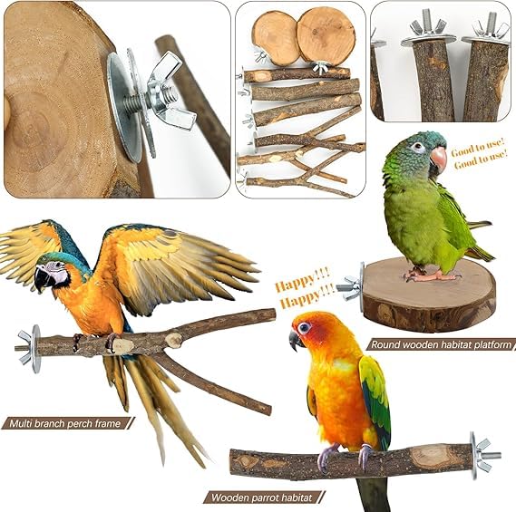 8 Pieces Natural Wood Bird