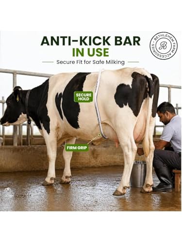 Bethlehem Farm Accessories Cow Anti