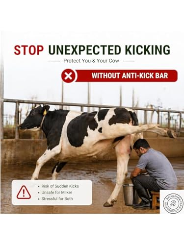 Bethlehem Farm Accessories Cow Anti
