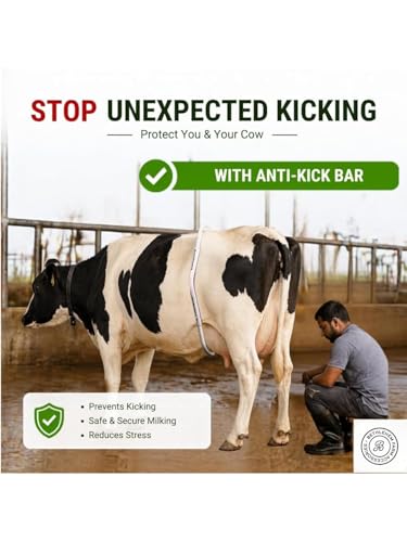 Bethlehem Farm Accessories Cow Anti