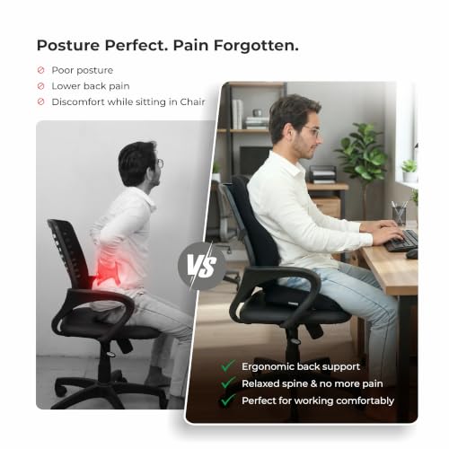Chair Cushion Pad & Backrest