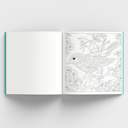 Enchanting Nature: Coloring Book