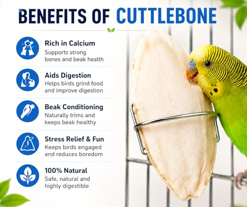 KORKAI Cuttlefish Bones for Birds